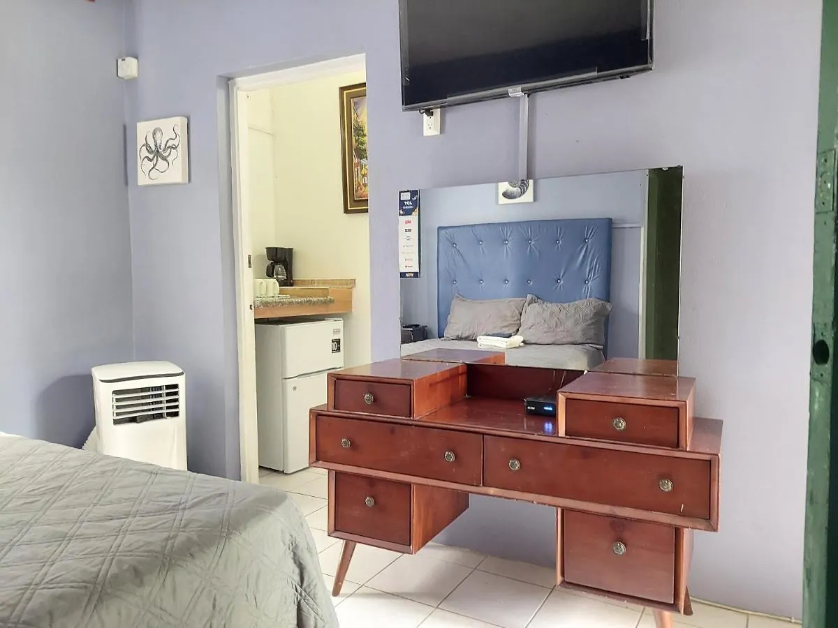 Dancehall Hostel Kingston Jamaica