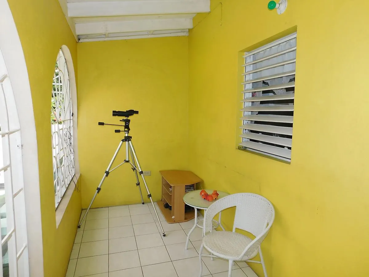Dancehall Hostel Kingston