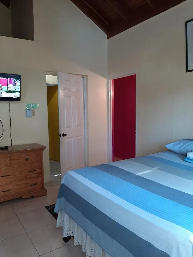 Dancehall Hostel Kingston