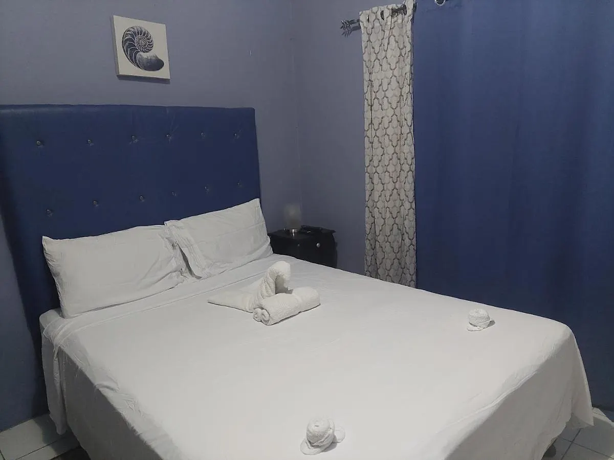 Dancehall Hostel Kingston Jamaica