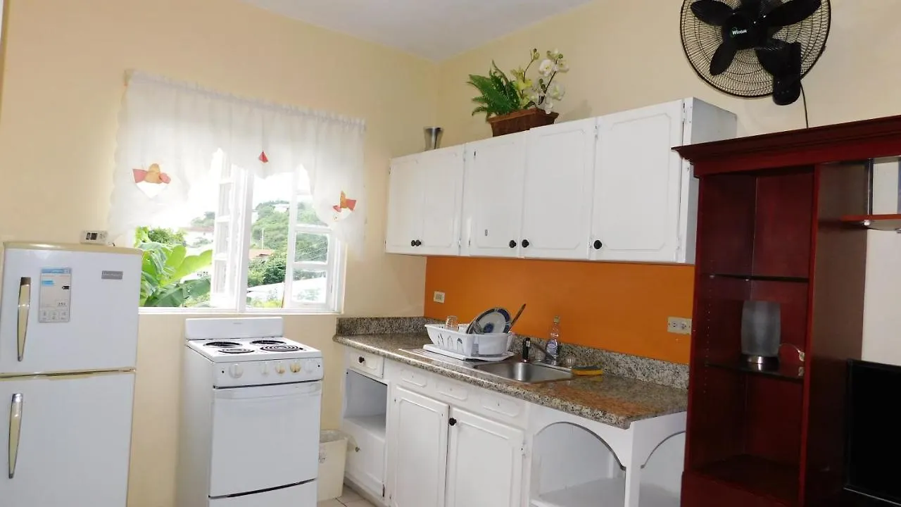 Dancehall Hostel Kingston