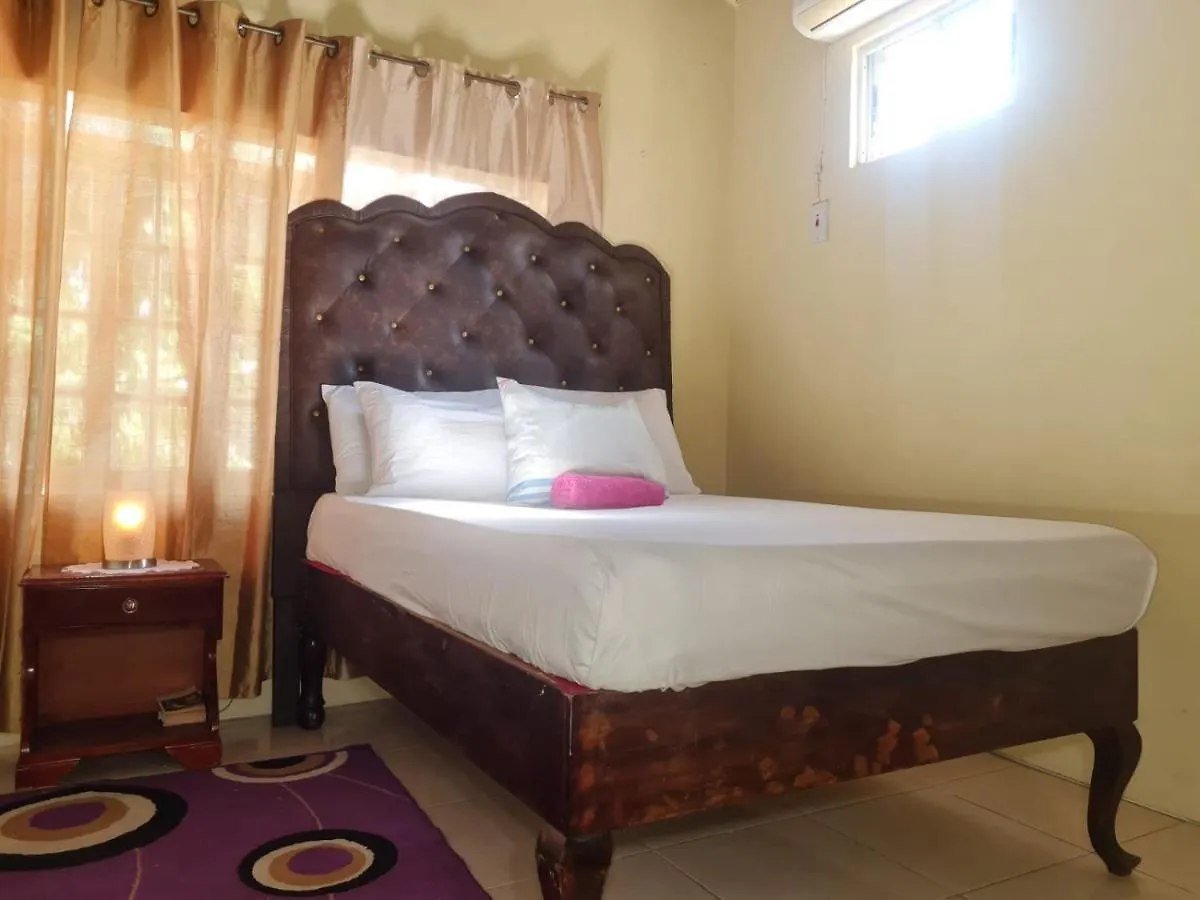 Dancehall Hostel Kingston Jamaica